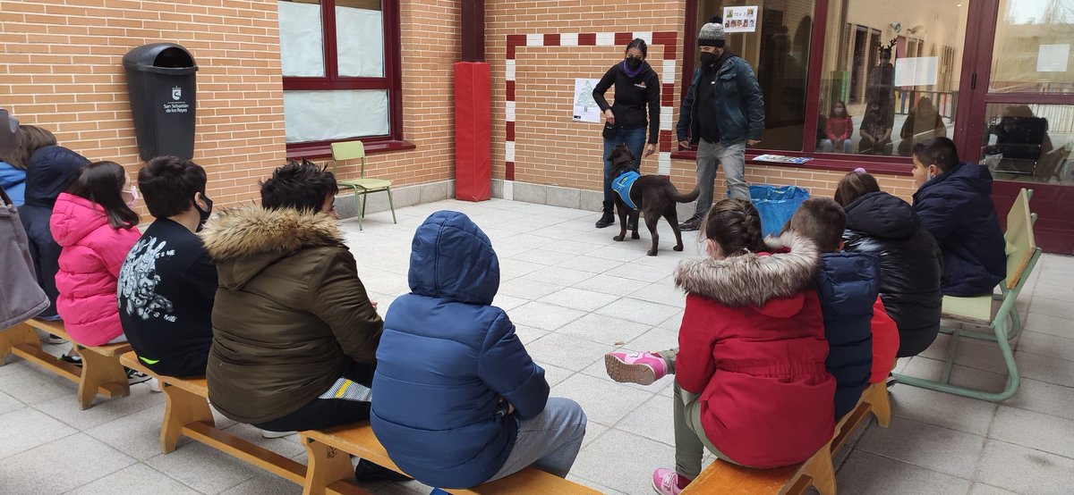 CPEEVFerrer's tweet photo. Ayer los chicos del Tramo II y III recibieron una sesión de Terapia Asistida con Animales. Disfrutaron mucho de la experiencia. https://t.co/I4oCCABZgP