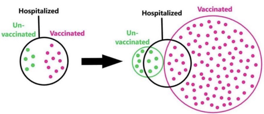 kenckar's tweet image. “There are more vaccinated than unvaccinated…” Steal this meme. It’s a great illustration of base rate fallacy.