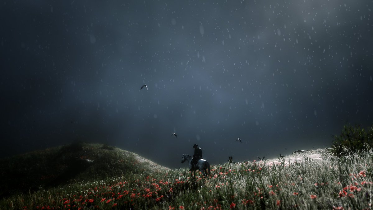 Photoingame's tweet photo. Share of the Year
Reply and show me your 4 best shots of Red Dead Redemption II

#RedDeadRedemption2 #PSshare #PSBlog https://t.co/ZfGjZxHI5U