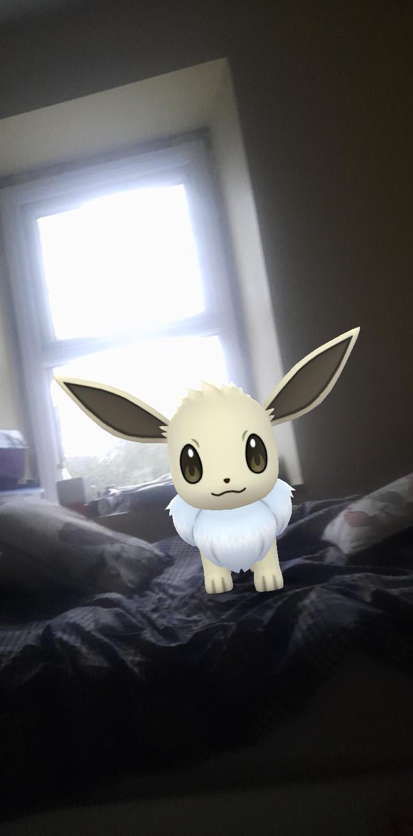 So stoked to catch a Shiny Eevee, dont mind the mess it was Eevee 😂

#PokemonGO #eevee