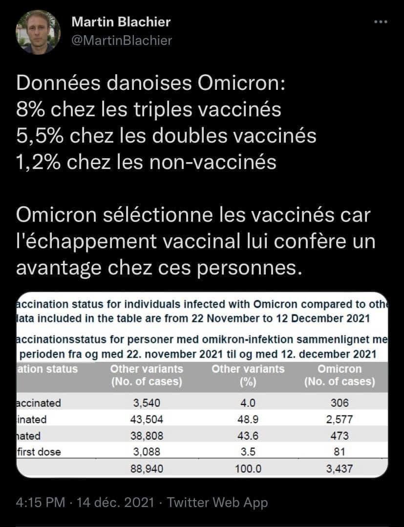 bedeichflorence's tweet photo. Si je n étais pas pur sang je commencerai à stresser puis je m énerverai d avoir été prise pour une conne https://t.co/HjWohyc0XT