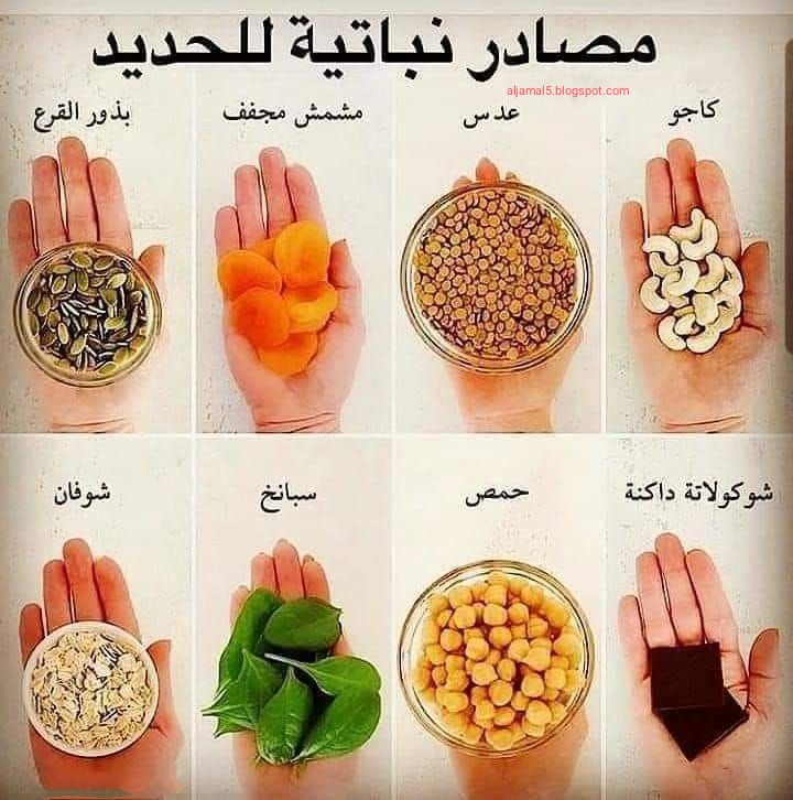 aljamal5tw's tweet photo. مصادر نباتية للحديد

#صحتك_حياتك
#صحيفة_مكة_الالكترونية
#الغذاء_والدواء
#نجران_الان
#صحة
#نباتي
#طبخات
#مطبخ
#الجمال
#جميلة 
#جمالك
#الغذاء_والدواء
#نجود_الرميحي
#سعوديات
#طعام
#اعشاب
#علاج_طبيعي
#صحي
#كل_يوم_معلومة_طبية 
 @DMedicalinfo @Saudi_FDA https://t.co/bKoVWhBjTR
