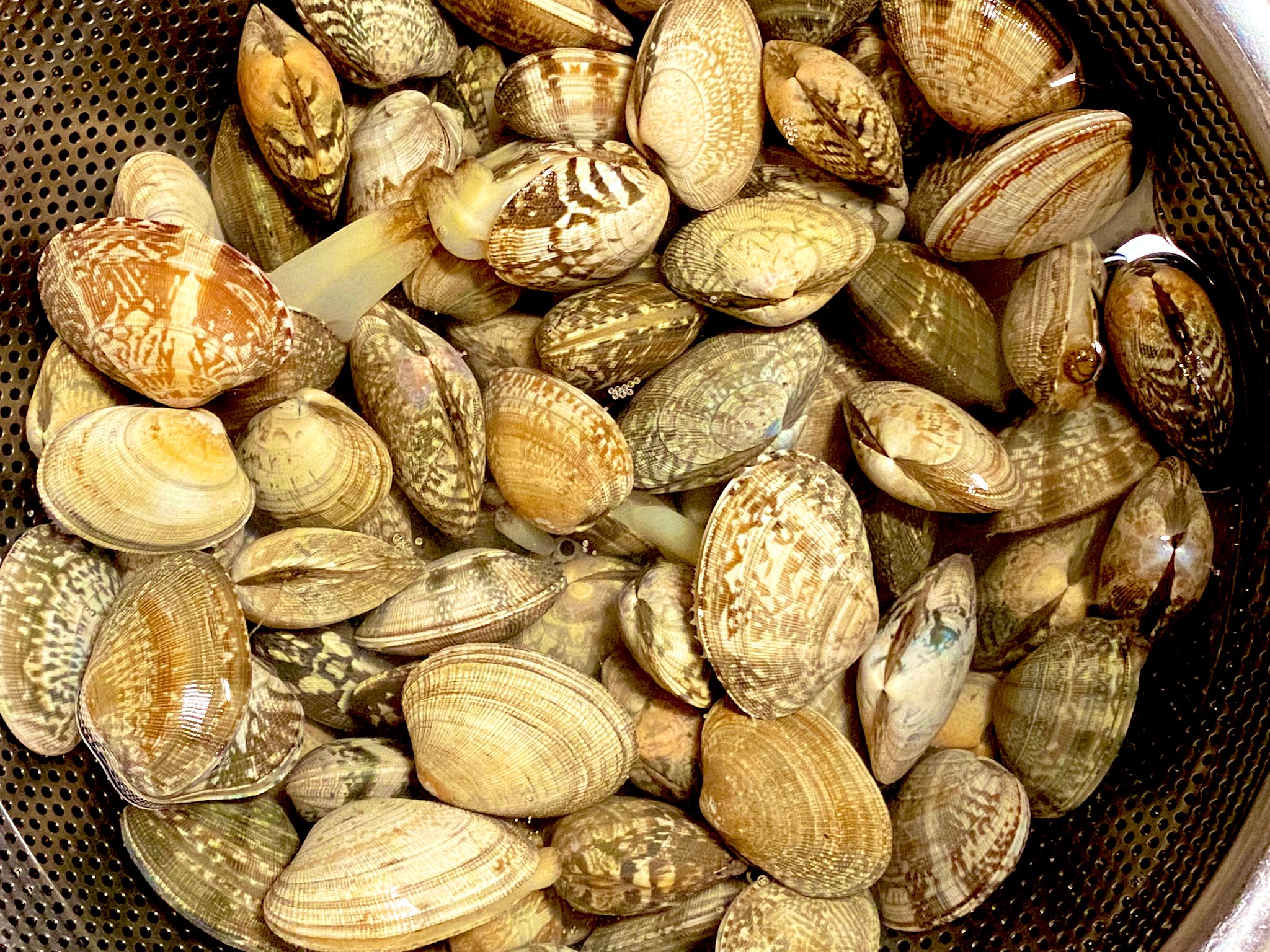 あさりの砂抜き Twitter Search Twitter