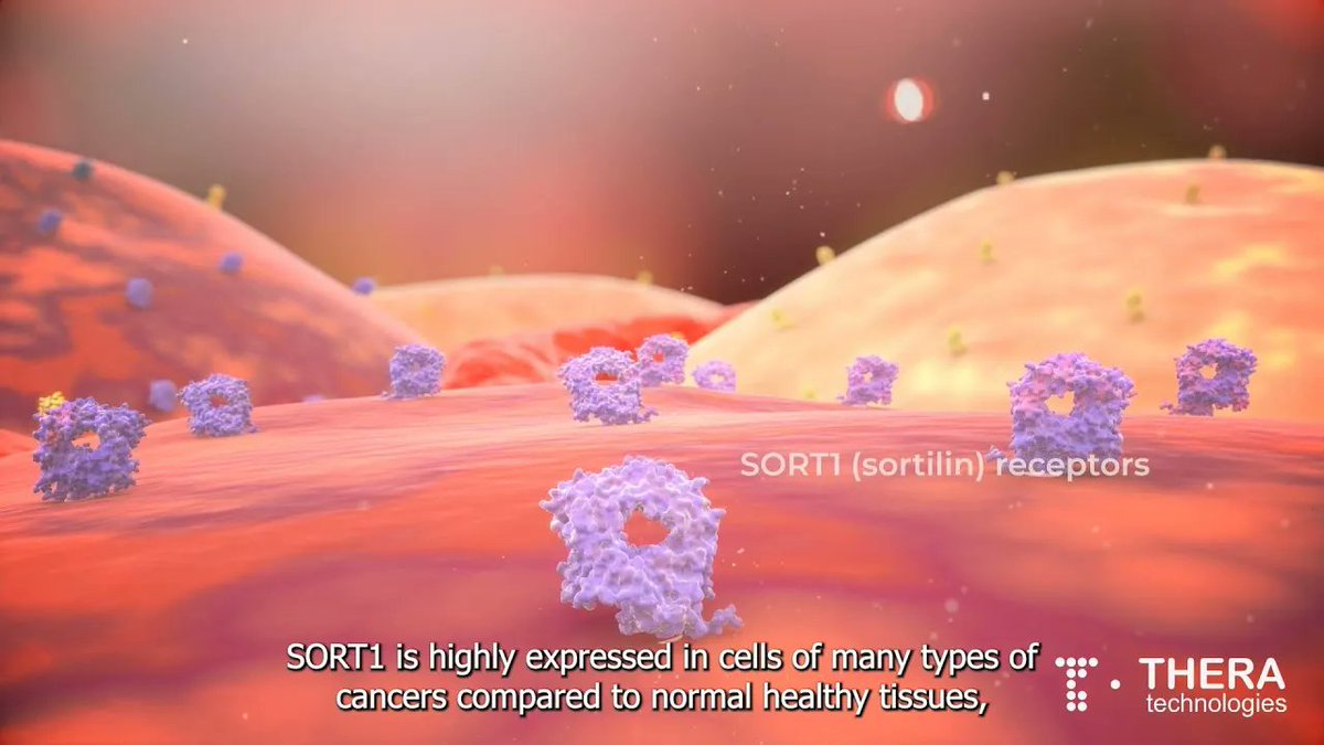 Theratech_'s tweet photo. Theratechnologies is developing a new class of treatment targeting all SORT1+ cancers by linking approved anticancer drugs to proprietary peptides that specifically bind to the #sortilin receptor. Learn more here👉 https://t.co/EAepd3Q8tA
#Oncology #Cancer https://t.co/KwZ7PAzZhX