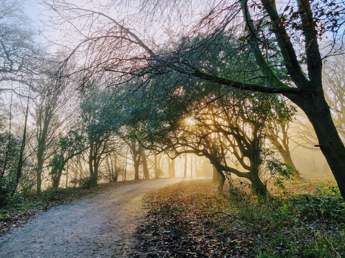 A walk on Winter's Solstice #WINTER #WinterIsComing #Solstice #WinterSolstice #Earth