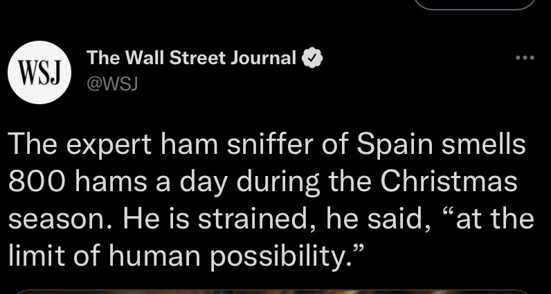 hering_david's tweet photo. I read this in Werner Herzog’s voice https://t.co/HLnvNAGXrC