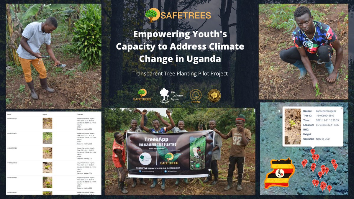 #SAFETREES ongoing pilot project in Uganda for transparent & verifiable tree planting records using #TreesApp. 

We are able to collect data offline, monitor in the database, & verify each planted tree's locations📌.

📢 SPREAD AWARENESS!

@tree_adoptionug @BinanceBCF @cz_binance