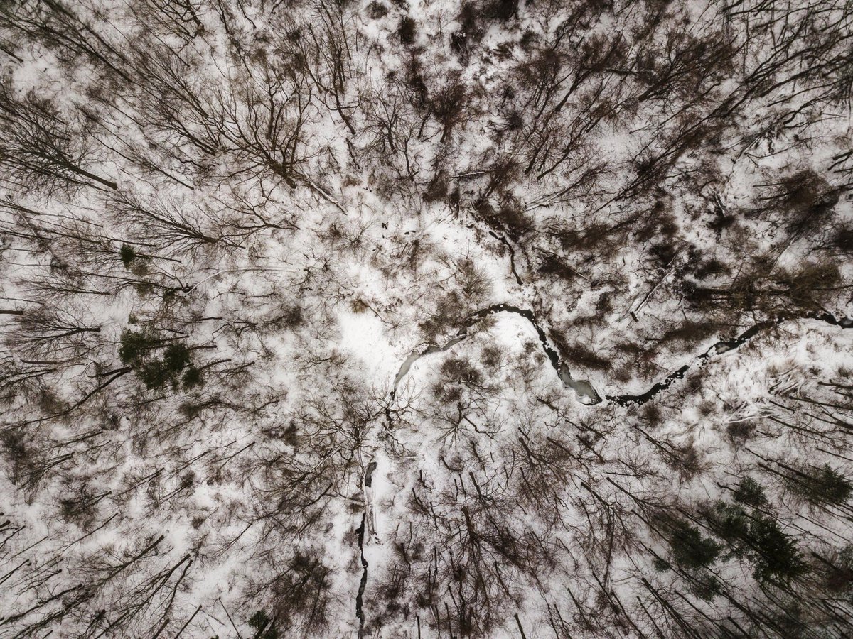 Enjoy the first day of winter! ❄️Fun fact: Stand outside at noon today &amp; look at your shadow. It will be the longest shadow that you'll have all year! 📷 Maguire Family Wildlife Sanctuary by Adam Montoya