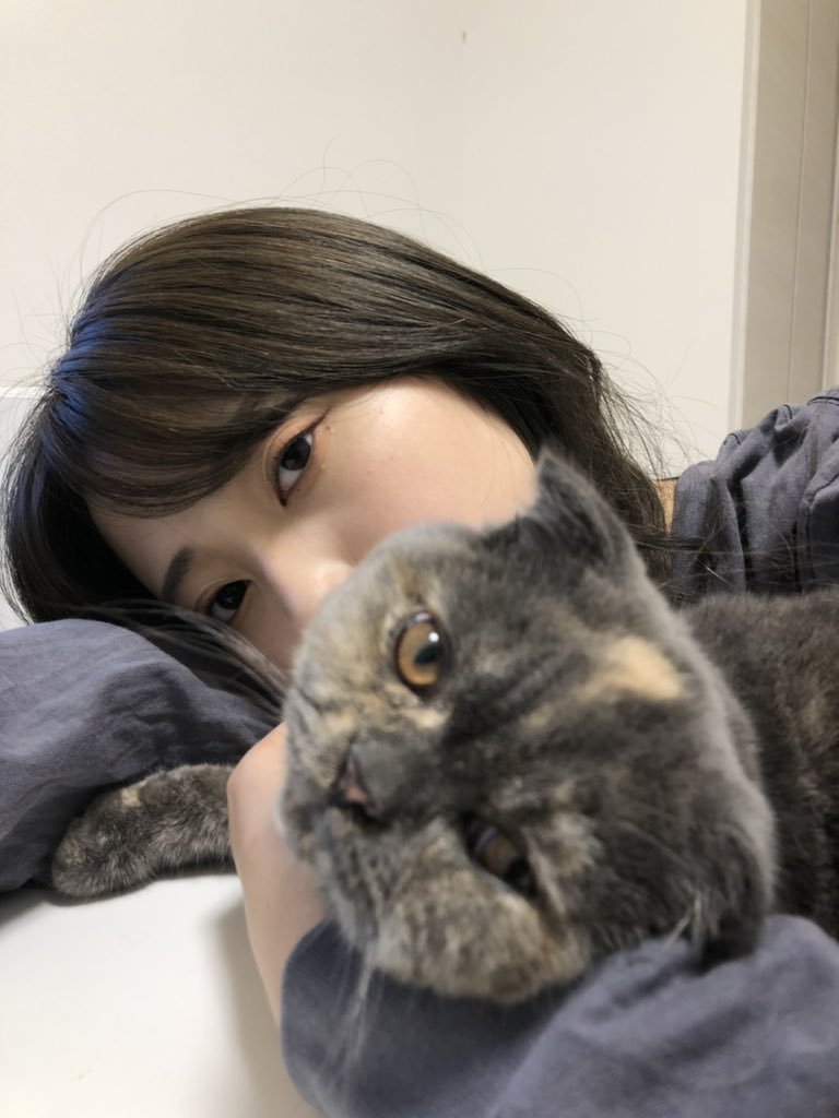 あきの (@akino333) / Posts / X