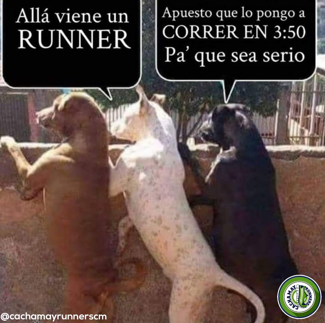 cachamayrunners's tweet photo. #HumorRunner https://t.co/YH6HCx4gbl