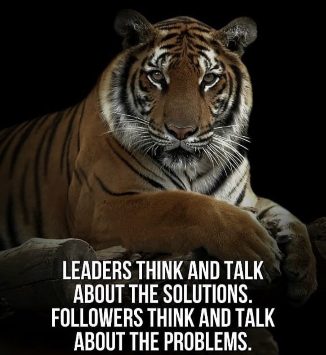 Which one are you? AZUCAAAAAA