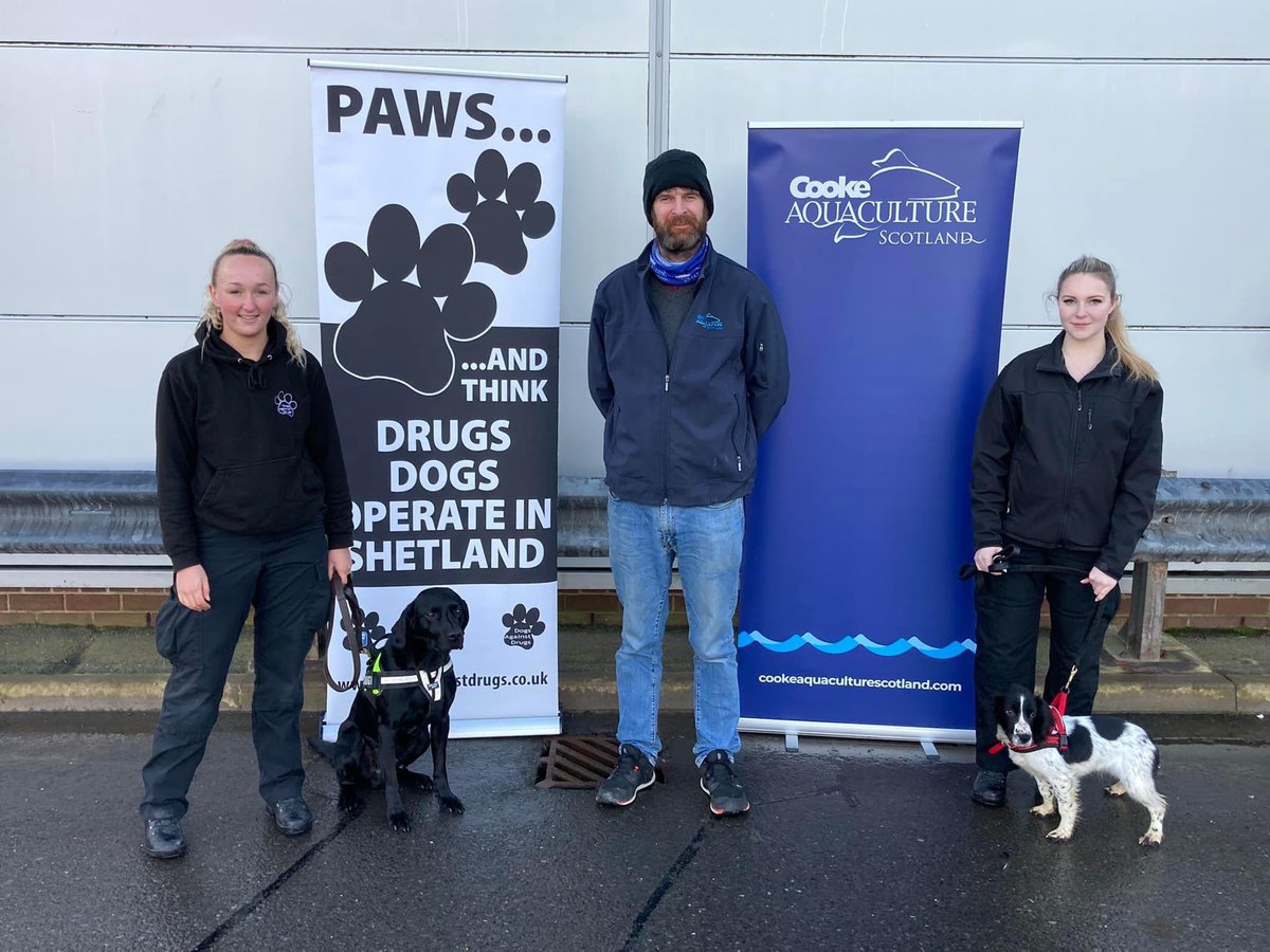 CookeScotland's tweet photo. Our Shetland regional manager, David Brown, enjoyed meeting Oscar and Hera and handlers Megan and Hannah from Dogs Against Drugs Shetland 🐶🐾

We’ve donated £1,000 from our #communitybenefit fund to help keep #Shetland safe.

#PawsAndThink https://t.co/GLyPjmm7Mb