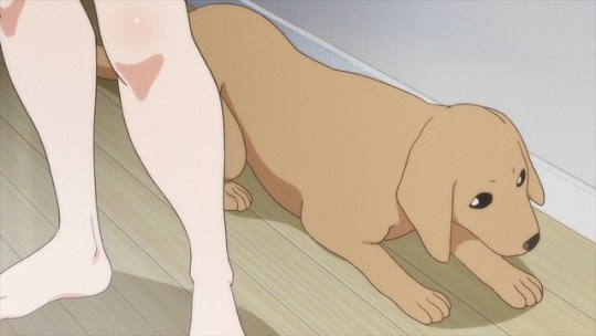 Today's anime dog of the day is: Alexander from