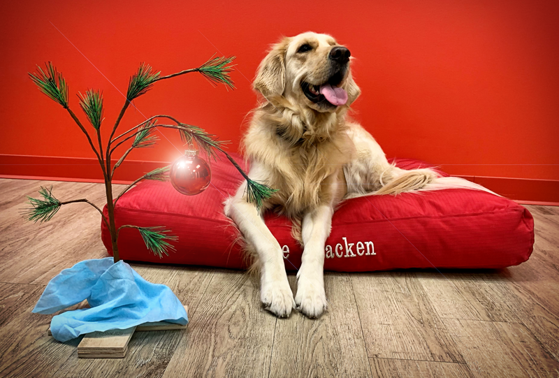 BDEUSA's tweet photo. Check out our latest eNews! Christmas time is here. Happiness and cheer. For BD&amp;E, the holidays are made brighter by the tidings of great joy... https://t.co/ShuoUvKKhG https://t.co/1b09o93sYk