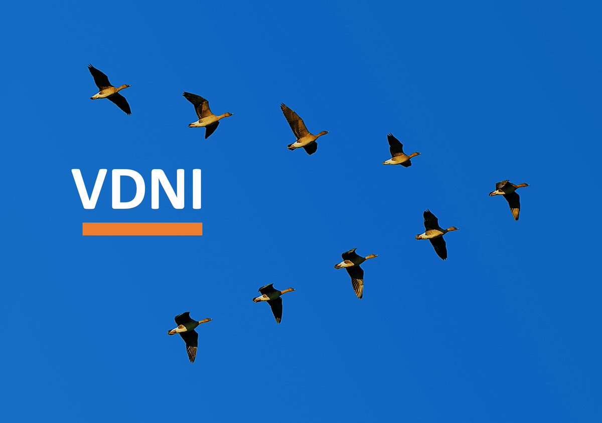 Thrilled to announce the launch of our first thematic ETF the V-Shares US Leadership Diversity ETF (VDNI). VDNI provides investors with a thoughtful way to align their US All Cap exposure with their values. v-shares.com #ETF #investing