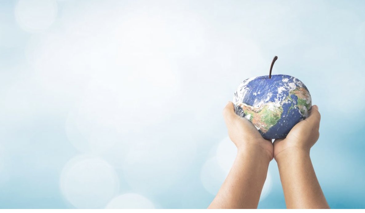 Transnationale Forschung? Gibt es in der BLE! tuerchen.com/ble2021