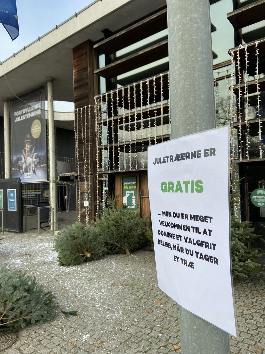 Kæft jeg elsker <a href="/CopenhagenZoo/">Copenhagen ZOO</a> ! ❤️

Selvom de gang på gang bliver smidt under coronabussen, bliver de ved med at køre den gode stil🎄🎄🎄