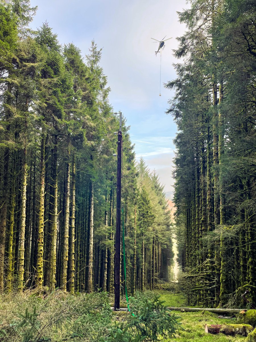 GBHelicopters's tweet photo. Last week we helped SP Energy Networks replace electricity poles that were damaged by Storm Arwen and Barra. Precision flying with diligent on-ground coordination was required for this task due to the surrounding terrain and forest.
#SPEN #loadlifting #powernetworks #h125 #avgeek https://t.co/syWf14hlGU