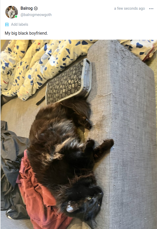 balrogmeowgoth's tweet photo. shitposting on #onlyfans https://t.co/d8Y7ko0el7