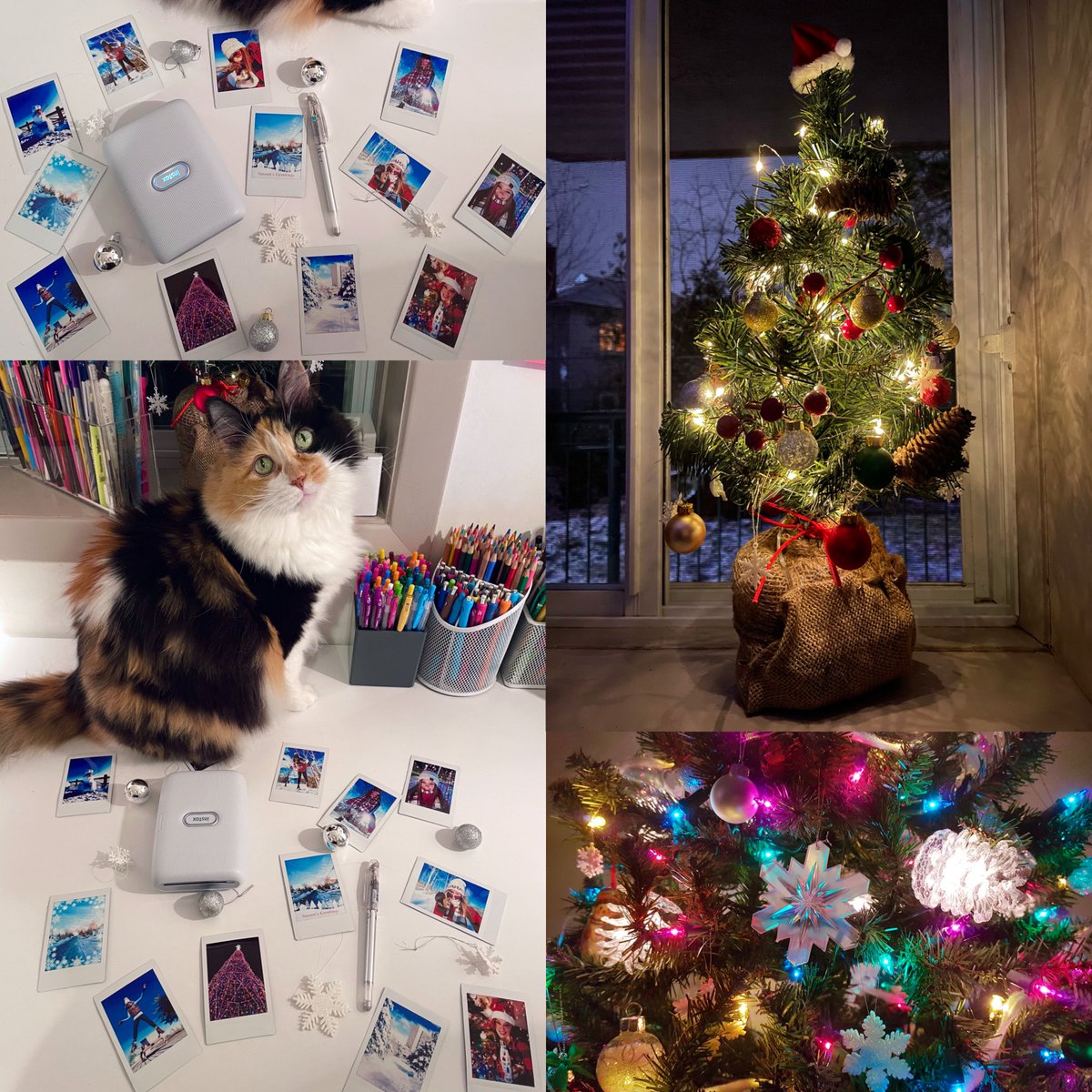 When your cat is a morning person... #GoLittleRockstar #UpAndAtEm We ❤️ Winter! #ChristmasHolidays #ChristmasCards #FirstDayOfWinter #WinterSolstice #InstaxMini #Fujifilm #ChristmasCrafts ❄️✨📸☃️🎄🎁✉️ ❄️