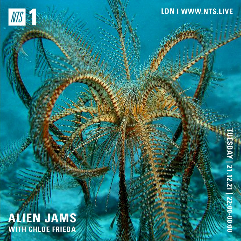 Back on <a href="/NTSlive/">NTS Radio</a> tonight with our last show of 2021. Tune in from 10-midnight GMT on channel 1!