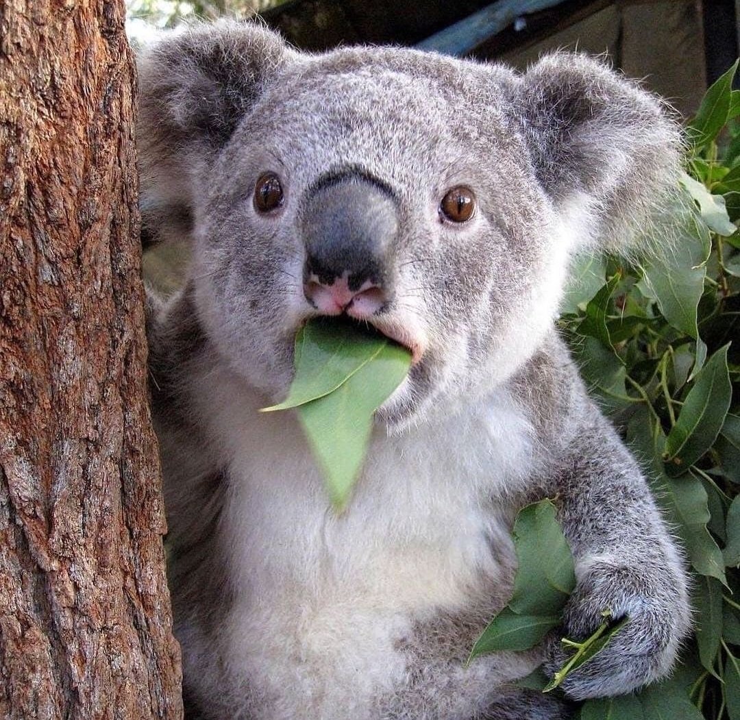 CUANDO ESTOY LLENO DER TO EN NOCHEBUENA Y MI MADRE DISE WENO Y ARA VIENE LA COMIDA