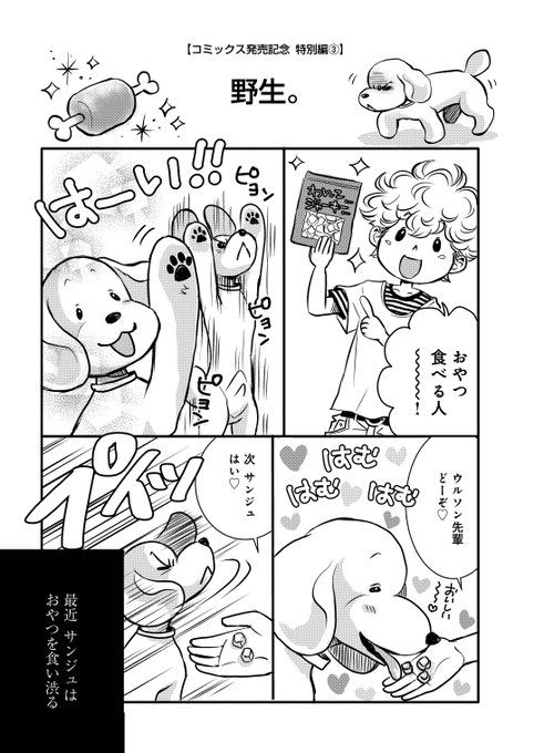 記念すべき1作品目「dog」 楽天ブックス: 堕天の狗神 -SLASHDOG- 1 ハイスクールD×D