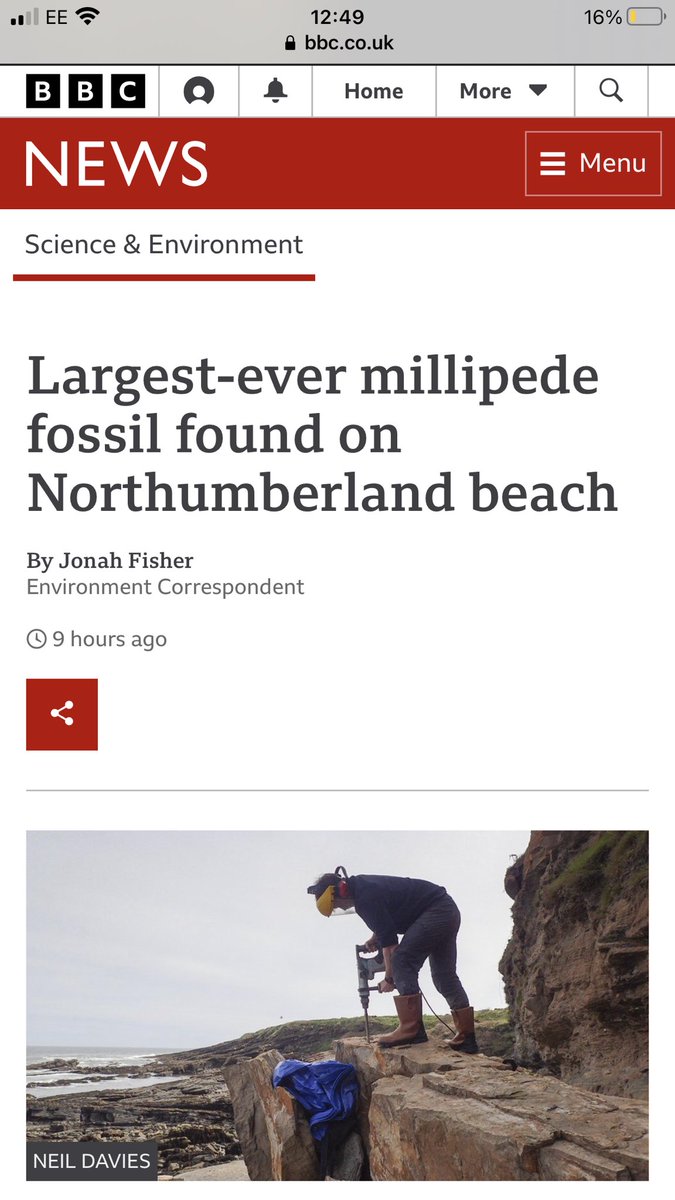 IRobertS_author's tweet photo. I wrote a thriller about the biggest millipede ever to have lived taking over a uni campus (free on Wattpad) - and now they’ve just dug one up in the U.K.! https://t.co/dvninYZQwg #Fossil #amwriting https://t.co/pHRC0cGnUO