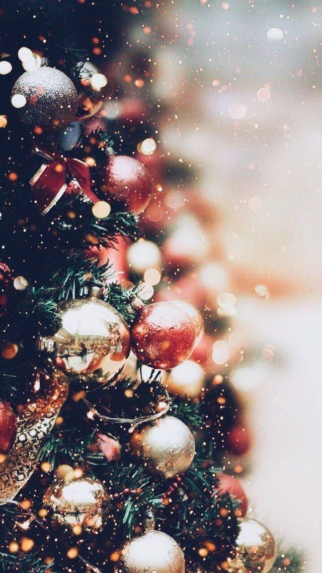 MuhammadShojaee's tweet photo. What do the lamps on the #Christmas tree symbolize?
light over darkness,
Or a sign of awaiting?
as Jesus said:
“keep your lamps burning,like servants waiting for their master..,because the Son of Man will come at an hour when you do not expect him”
Luke 12:35
Checked your lamps? https://t.co/E3oGJtrs3G