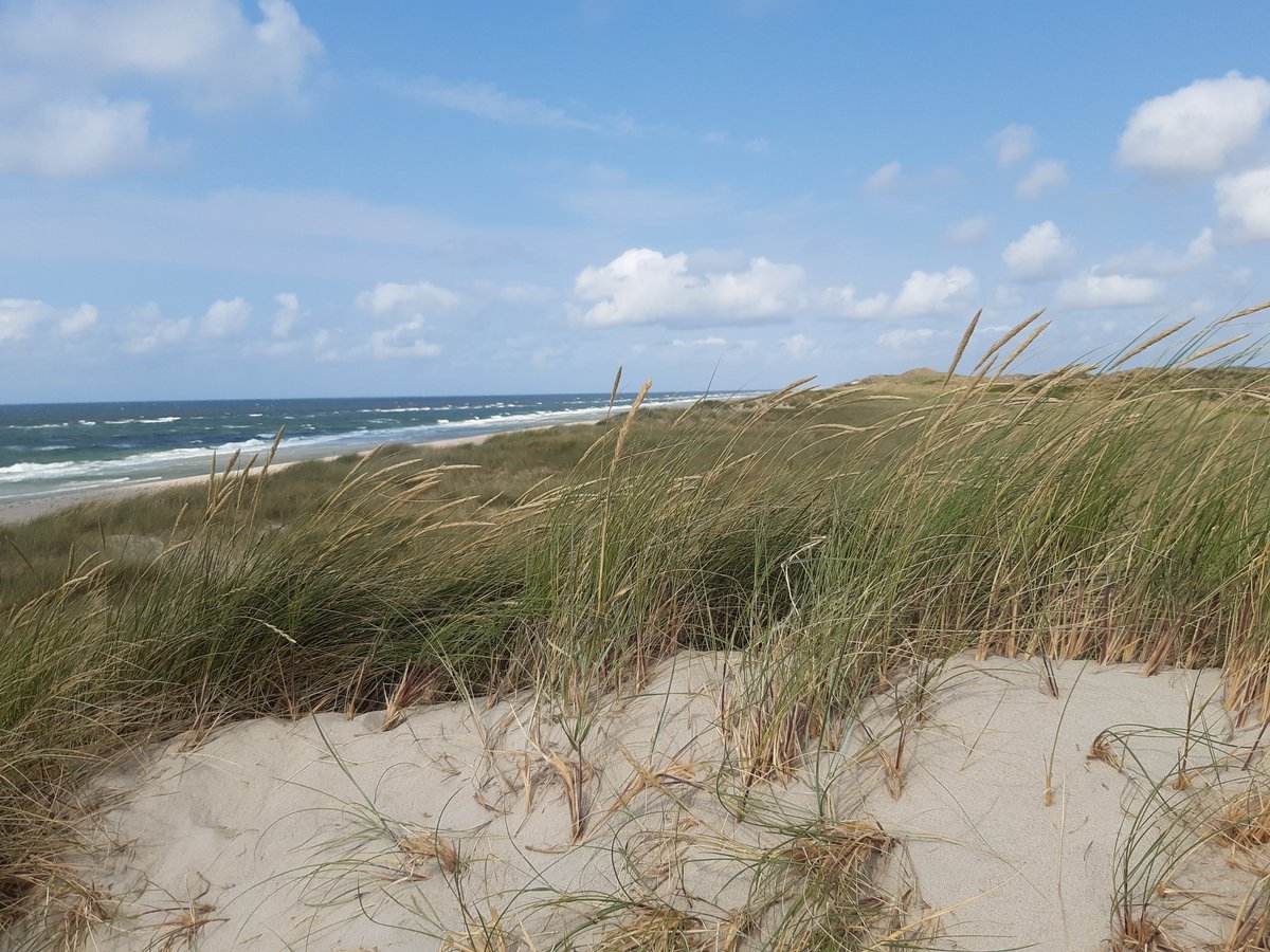 Neu: Übersicht der nordsee Pressefahrten 2022 für Journalisten online: bit.ly/3efpkyu