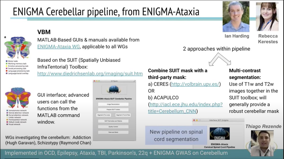 PTenigma's tweet image. And... IT&apos;S A WRAP! ENIGMA&apos;s 2021 Year In Review, and what a year! Take a video tour of ENIGMA&apos;s global neuroscience projects, highlighting this year&apos;s new discoveries in over 30 brain disorders, by scientists in 45+ countries! youtube.com/watch?v=JSi_Fk… PDF drive.google.com/file/d/1aQd5ew…