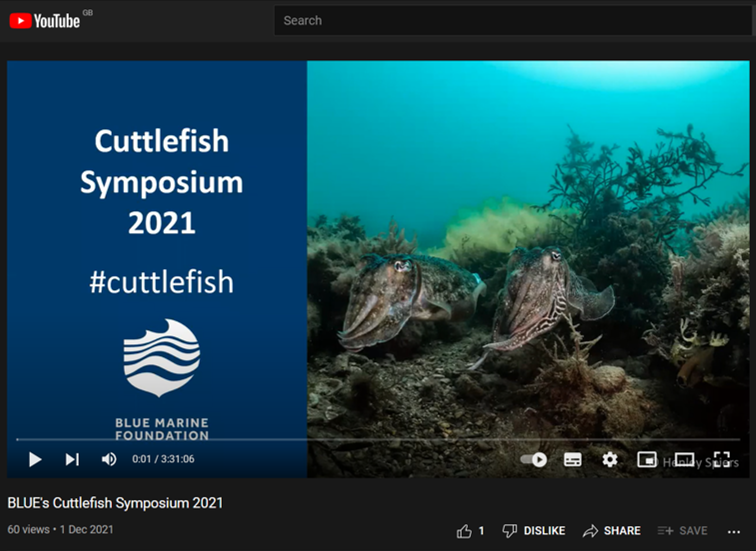cuttle_cons's tweet photo. If you missed the #Cuttlefish symposium by @Bluemarinef you can watch it here: https://t.co/8Zj6AQDY4p. It was a great event, with really interesting topics covered and vital discussions had! https://t.co/Gowzvj5dv0
