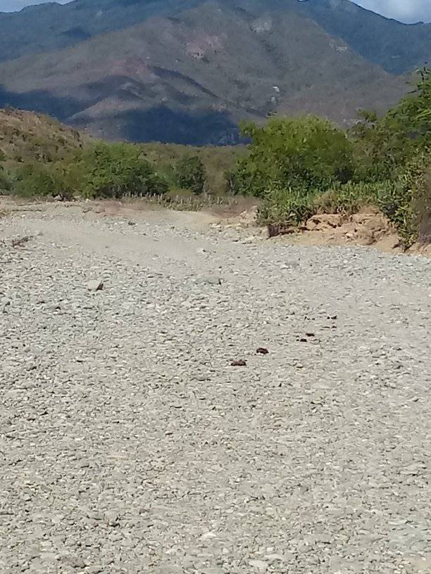 Imías se encuentra afectado por una sequia intensa,sus  acueducto principales: Rio del medio y San Ignacio estan afectados a más de un 90%,  2000 habitantes  no reciben un buen servicio de agua por lo q debemosse toman medidas para mitigar los efectos.