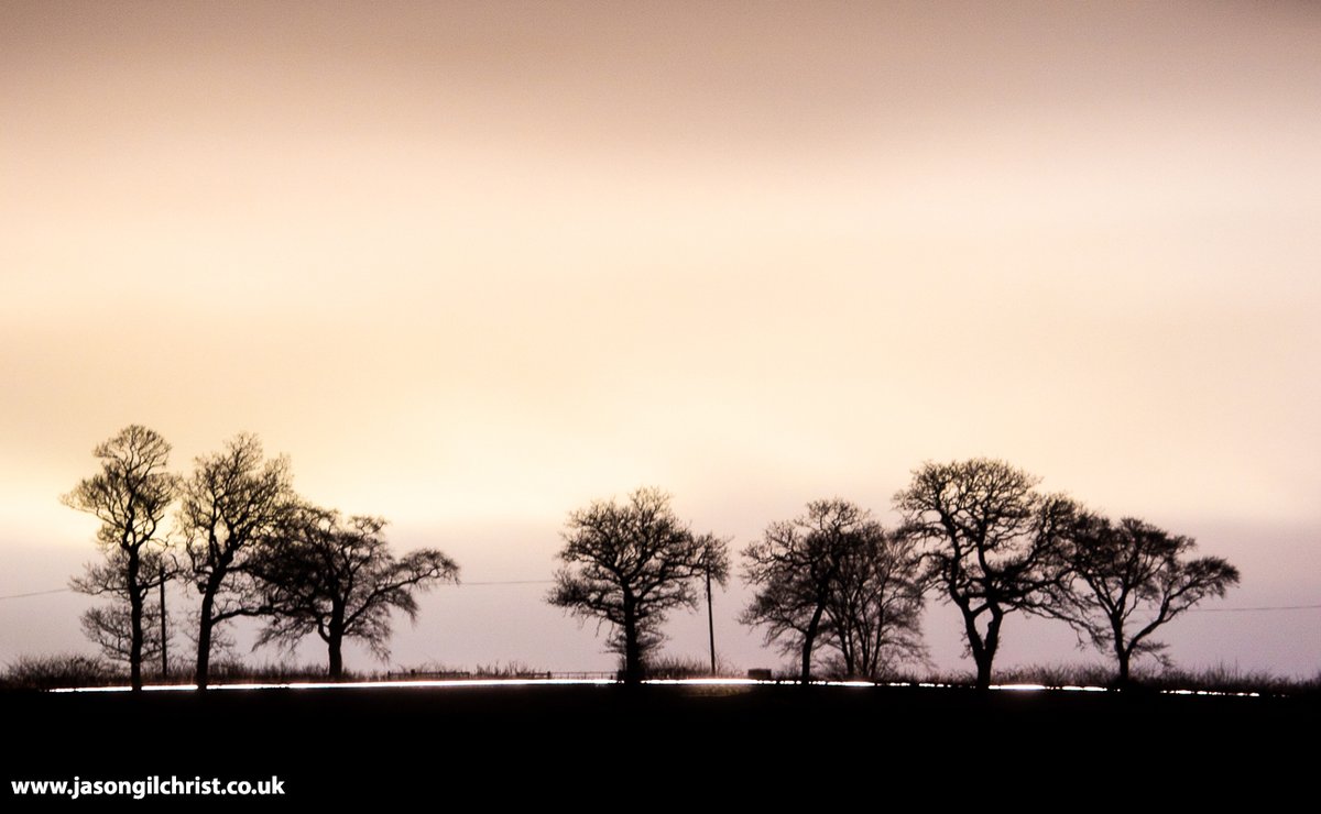 Light trail, long exposure, trees, after dark, West Lothian, Scotland, last night. Car passing on the road. #LightTrail #NightPhotography #LongExposure #trees #TreeScape #landscape #StormHour #ThePhotoHour #WestLothian #Scotland #ScotlandIsNow