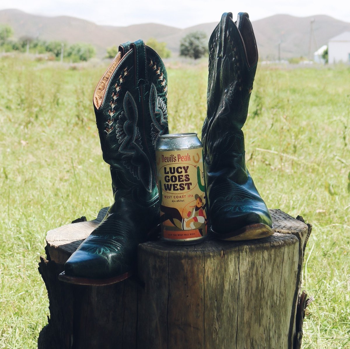 DevilsPeakUK's tweet photo. Going back west. #LucyGoesWest #westcoastIPA with a hop bill that originally put this style on the map. A citrus core with some dank pine elements, topped off with enough bitterness do entice the IPA connoisseur. #devilspeakuk #devilspeakbrewery #IPA #Craftbeer #craftbeerUK https://t.co/lI1n1lgrSu