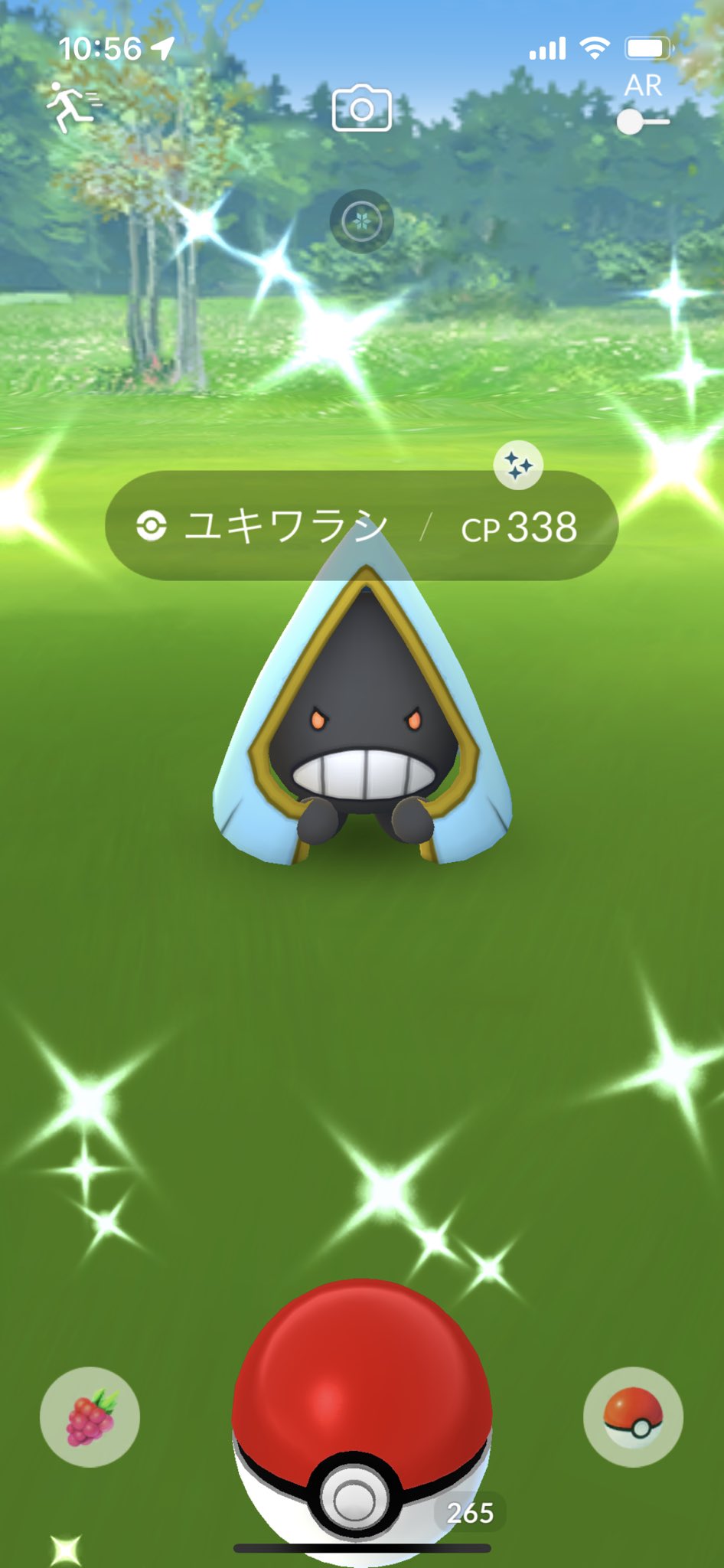 ユキワラシ色違い Twitter Search Twitter