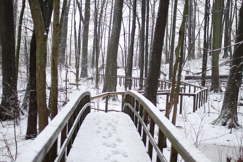 "Winter is not a season, it's a celebration." - Anamika Mishra

Happy #FirstDayOfWinter ❄️ Get outside and enjoy all this season has to offer.📌 Rattray Marsh Conservation Area