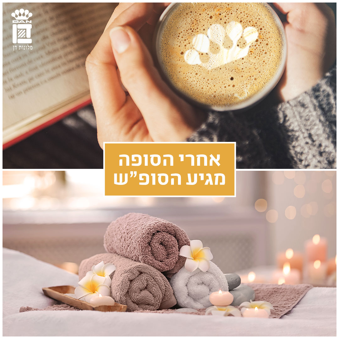 Dan Hotels tweet media