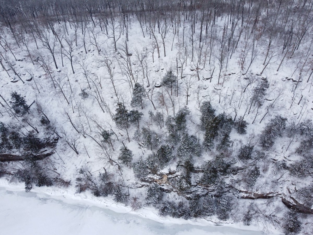MoDNR's tweet photo. Don't get cabin fever this winter. #GetOutisde and enjoy Missouri's beautiful natural resources.
#FirstDayofWinter #WinterSolstice https://t.co/R2T2dlMMO1