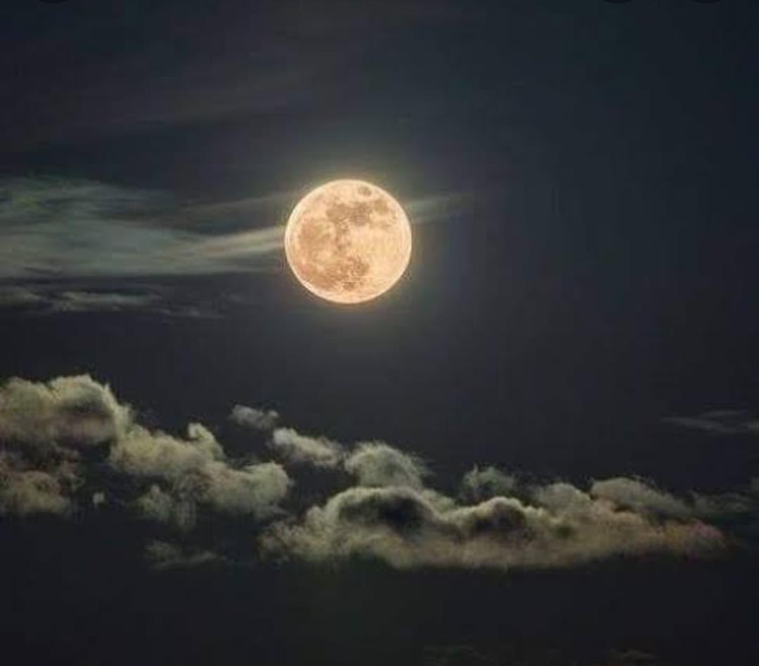 "SELENOFILIA"❤️
Amor y fascinación por la luna.🌕🌠☄️✨