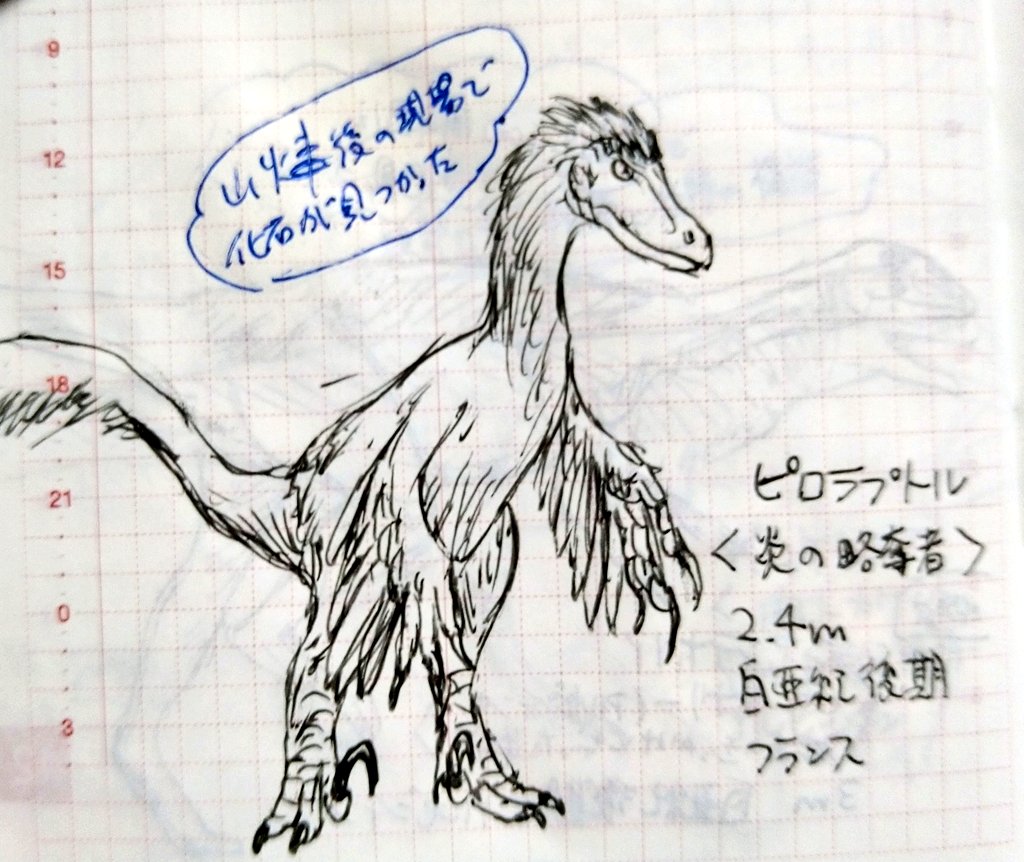 Y Onozuka 恐竜チャレンジ 562日目 ピロラプトル 炎の略奪者 山火事後の現場で化石が見つかったドロマエオサウルスの仲間 フルネームも ピロラプトル オリュンピウス で オリュンポスの炎の略奪者 という伝説の ポケモン感がすごい でも言い方を