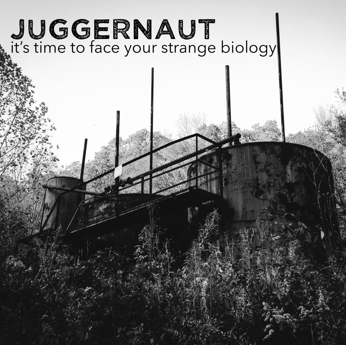 Tony Xenos tweet media