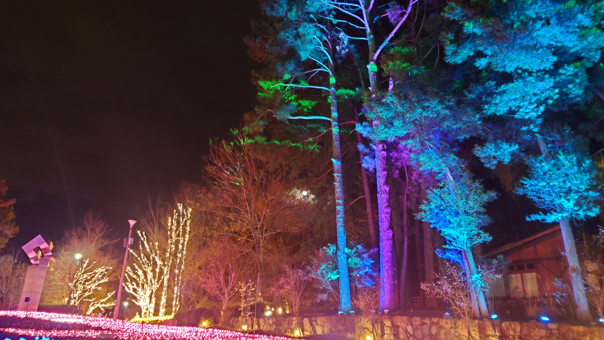 はなぶんサンクスイルミ Twitter Search Twitter