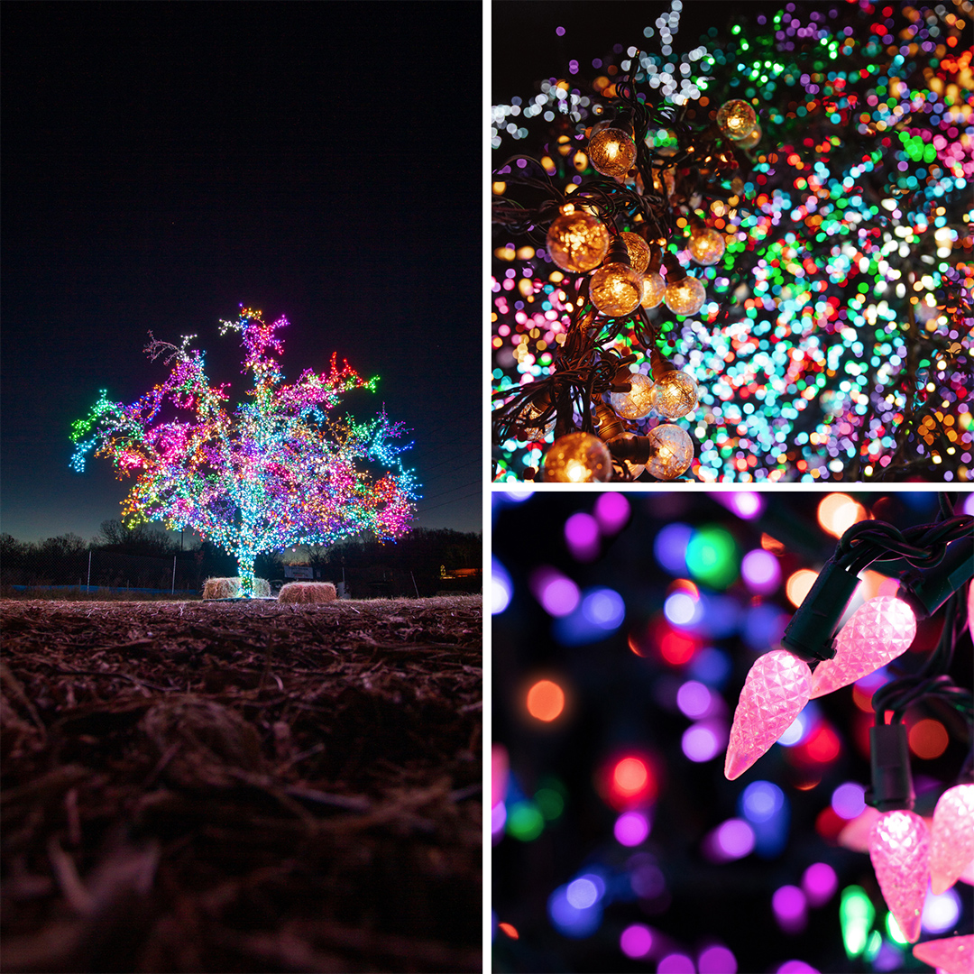 LS Magic Tree (@LSMagicTree) / Twitter LS Magic Tree (@LSMagicTree) / Twitter
