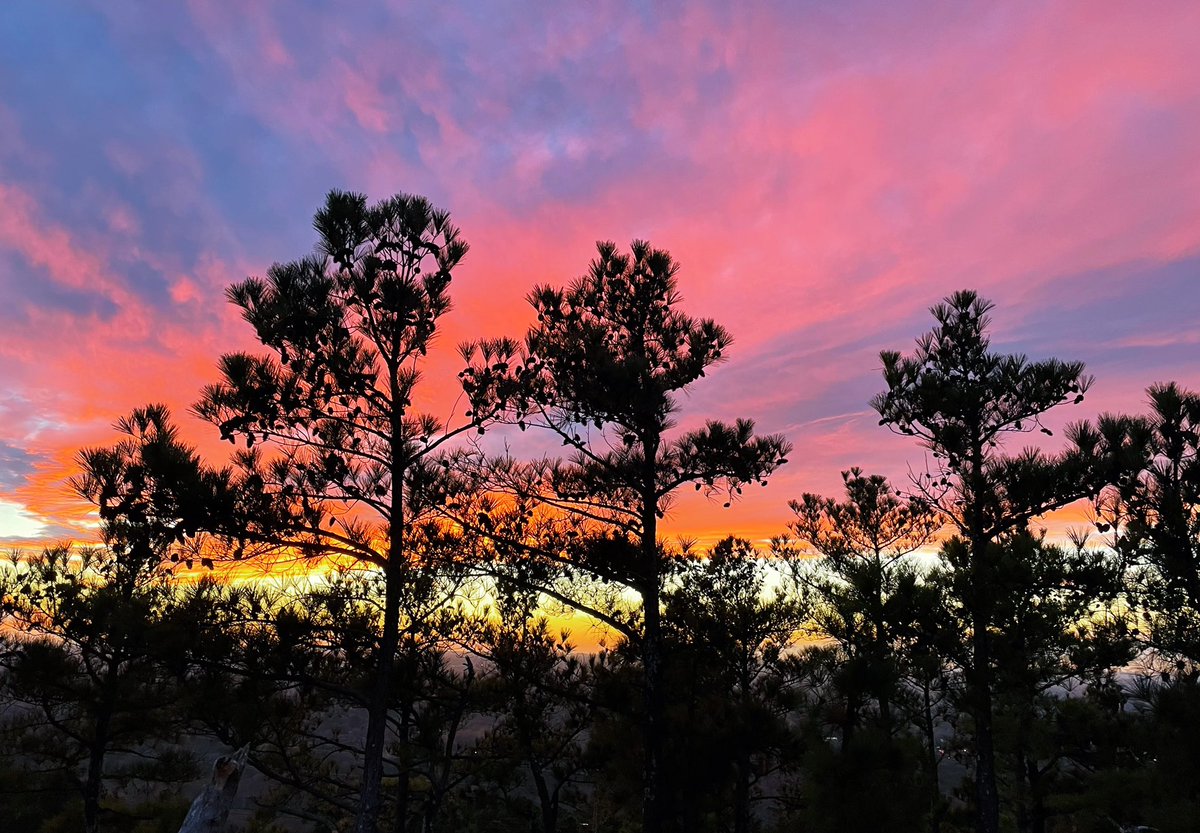 brxdlxy's tweet photo. Tree silhouettes
Atlanta, GA
#StormHour #ThePhotoHour #sunset #gawx https://t.co/Ji8oJbEHCL