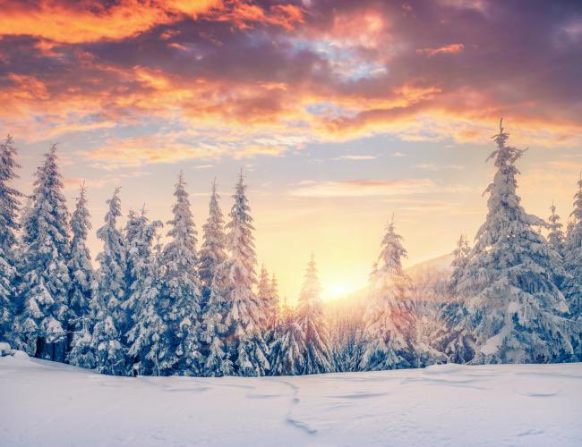 Happy Winter Solstice!