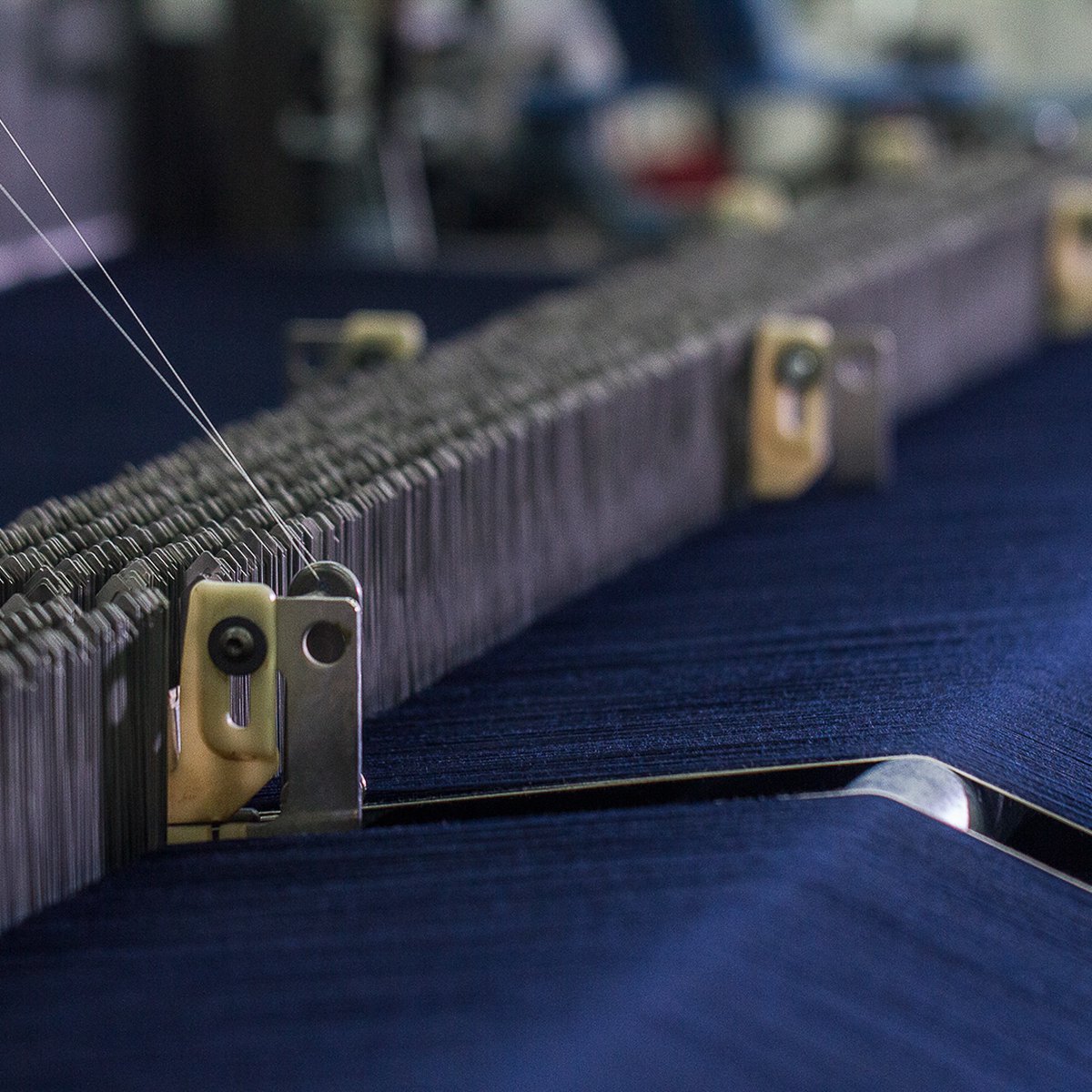 NEW TAILOR tweet media