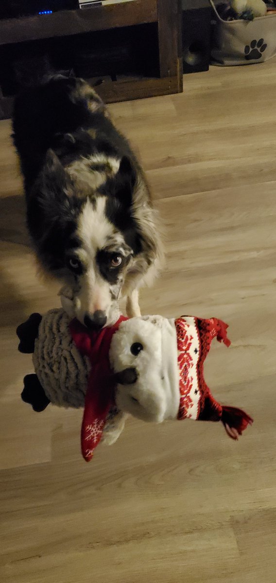 Colin gallant tweet media