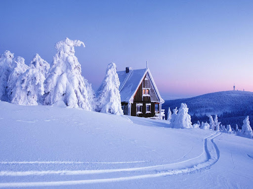 Зимой и летом одним цветом - зелёным! Снежная борозда возделывается не оленьим плугом, а чешуйчатыми хвостами! Наибольшее скопление глубинных дорожек отмечено в районах стихийно возникших горок. Срочно изучать в предновогоднее время!