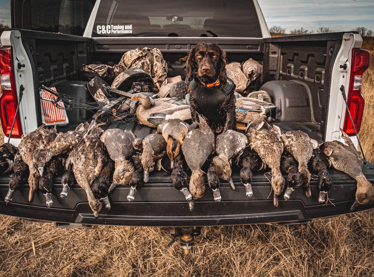 riffoutdoors's tweet photo. Yep. That’ll do. https://t.co/nQHYeGq341